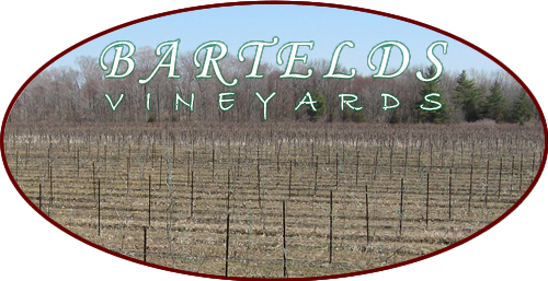 Bartelds Vineyard